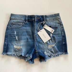 CELLO Small Woman’s Shorts Destructed Fringe Zipper NWT